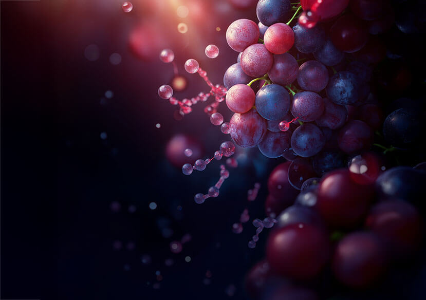 Descubre qué es el resveratrol, sus beneficios antioxidantes para la salud.